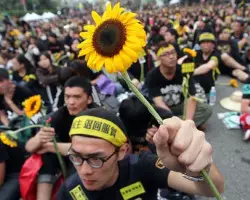  台灣即將到來的政治革命