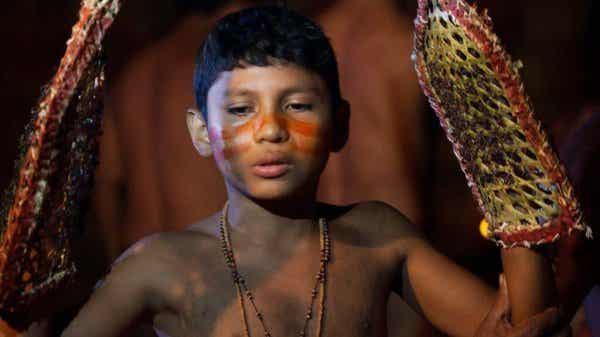 當 Satere-Mawe 的男孩長到 12 歲時，他們要忍受痛苦的子彈蟻手套成年禮。 疼痛、麻痺和幻覺可持續長達 24 小時。 亞馬遜，巴西