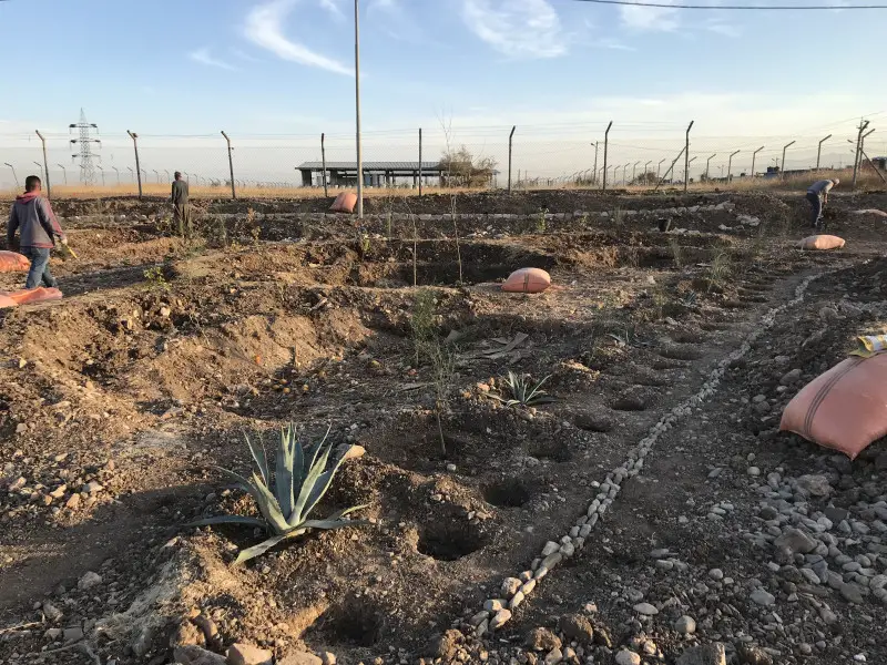 The first steps of the project required different earthworks to hold the water in the ground, and help grow the hardy pioneer species that will pave the way for food producing plants (agave for animal silage, and nitrogen fixing plants for fodder and soil improvement)