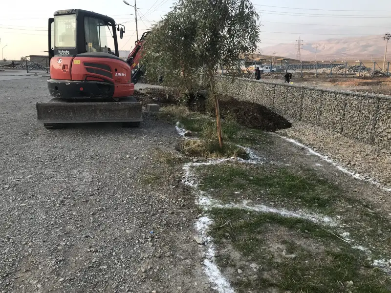 The front of the farm, with its newly installed rock wall, was getting some rain basins to catch the road runoff water, and make a space to grow pollinators.  The existing eucalyptus tree is very common to the area, and a legacy of the British empire.  