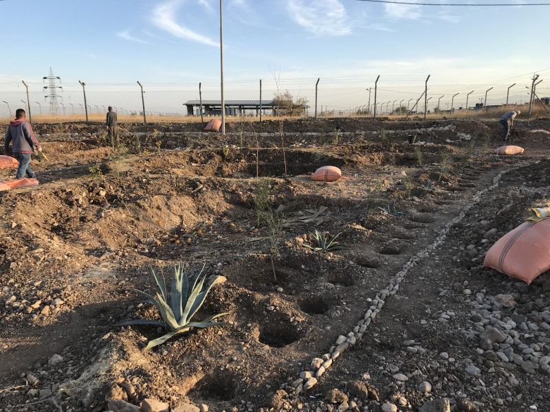 計畫的第一步需要不同的土方工程來保持地下水分，並種植耐旱植物當先鋒，為將來種植糧食生產植物打底鋪路（龍舌蘭為動物的青貯飼料，還有可為飼料和土壤改良的固氮植物） 