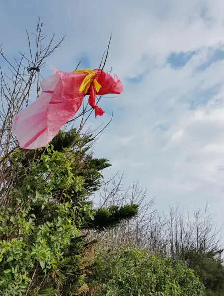                                                                     Pristine Penghu? Not quite. 